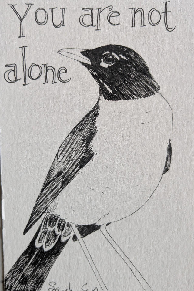 Inked American robin. Handlettered text reads "You are not alone."